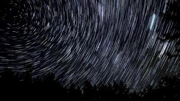 sterren Actie in de omgeving van een polair ster. tijd vervallen van ster trails in de nacht lucht. 4k video