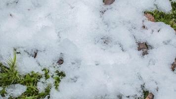 langzaam beweging macro schot van glimmend smelten sneeuw deeltjes draaien in vloeistof water en onthullend groen gras, kogels en machine geweer rondes. video