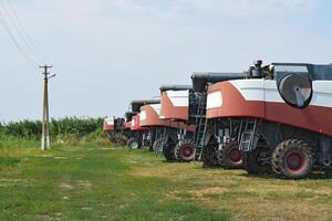 Combine harvesters, standing in a row. Agricultural machinery. photo