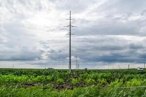 Assembly and installation of new support of a power line photo