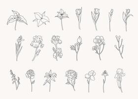 Set of botanical leaf doodle line art hand drawn floral decorative elements vector