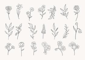Set of botanical leaf doodle line art hand drawn floral decorative elements vector
