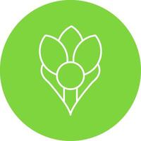 Crocus Line Circle color Icon vector