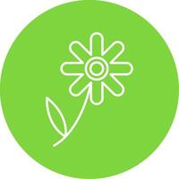 Chamomile Line Circle color Icon vector