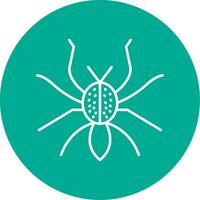 Spider Line Circle color Icon vector