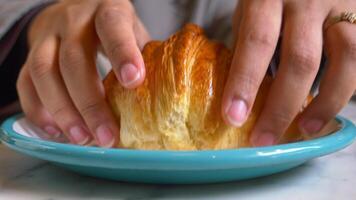 hand pick fresh baked croissant video