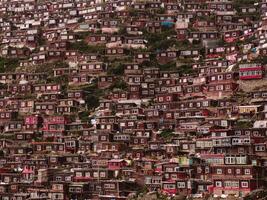 Red Tibetan houses in Sertar County photo