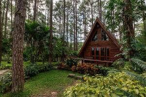 triangular casa construido desde madera en el bosque en el lluvioso temporada foto