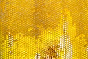 Drop of bee honey drip from hexagonal honeycombs filled with golden nectar photo