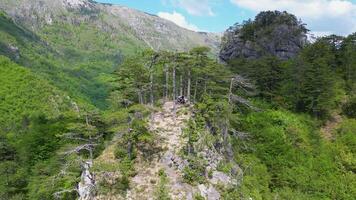 antenne visie van de mooi gezichtspunt zlijeb Aan cvrsnica berg in Bosnië en herzegovina. mooi gezichtspunt omringd door groen bomen en bergen. video