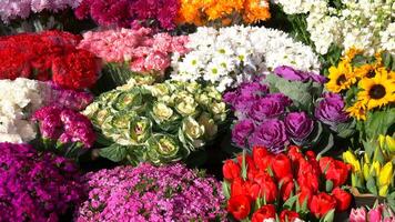 flower shop in istanbul, flower display for selling at street shop , video