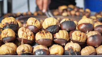 traditional Istanbul street food grilled chestnuts in a row video