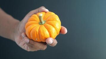 hand hold a small pumpkin against black background video