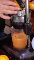 vertical shot of squeezing oranges into orange juice at cafe. video