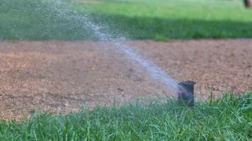 automatisk vattning gräs, trädgård gräsmatta sprinkler i handling. video