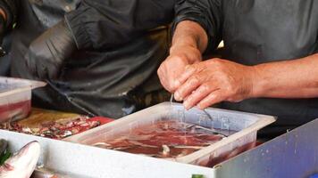 limpeza peixe para mais distante cozinhando video