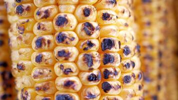 Close up of Grilled corn background video