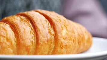 fresh baked croissant on plate with copy space video