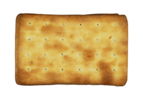 delicious crackers isolated. tasty cheese cookie png
