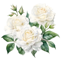 AI generated White rose flora and leaf png