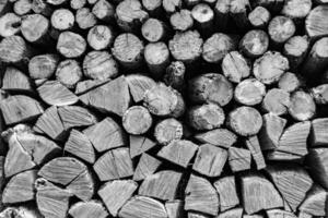 Photography on theme big wall of stacked oak tree logs in cracks photo