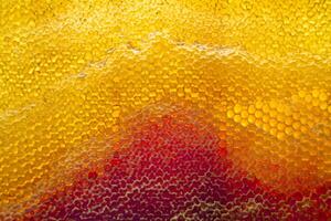 Drop of bee honey drip from hexagonal honeycombs filled with golden nectar photo