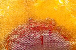 Drop of bee honey drip from hexagonal honeycombs filled with golden nectar photo