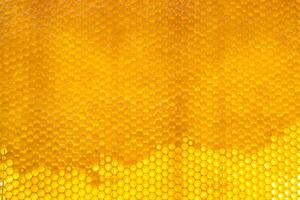 Drop of bee honey drip from hexagonal honeycombs filled with golden nectar photo