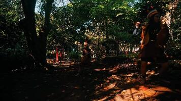 sereno floresta cena com manchado luz solar filtrando através árvores, destacando uma pessoa dentro contemplativo posição no meio natureza. video