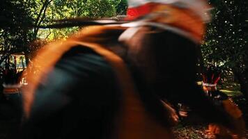 Group of children in scout uniforms playing in a sunlit forest, with focus on a girl in the foreground. video