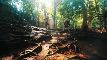 twee wandelaars wandelen Aan een Woud spoor met zon stralen doordringend door de bomen. video