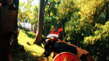 a pair of women battle and fight with spears and shields while wearing traditional traditional clothes in a forest video