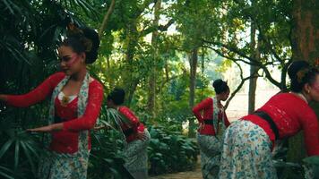 tradicional bailarines en vistoso disfraces ejecutando en un lozano bosque ajuste. video