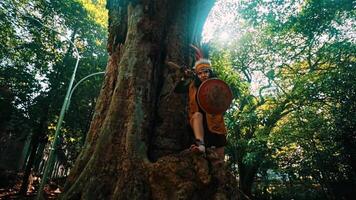 Adventurous person sitting on a large tree root in a lush forest, holding a hat, bathed in sunlight filtering through the canopy. video