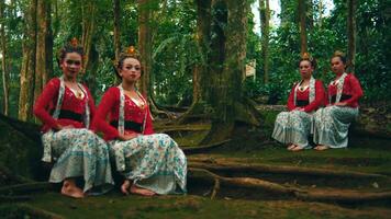 vier Dames in traditioneel jurk zittend vredig in een weelderig Woud instelling. video