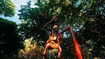 persona nel tribale abbigliamento con un' scudo, in piedi nel un' lussureggiante foresta, evocando un' senso di antico guerriero spirito. video