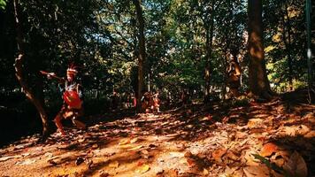 indigeno persone l'esecuzione un' tradizionale danza nel un' foresta ambientazione con vivace luce del sole filtraggio attraverso il alberi. video