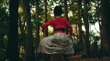 posterior ver de un persona bailando en tradicional atuendo sentado en un sereno bosque video