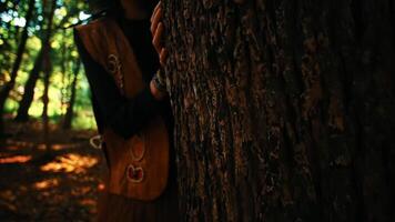 Person hiding behind a tree in a forest, with focus on the hand on the tree trunk and a mysterious ambiance. video