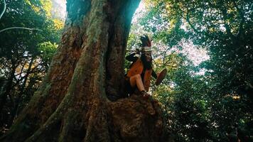 aventureiro caminhante em repouso em uma ampla árvore tronco dentro uma exuberante floresta, cercado de verde folhagem. video