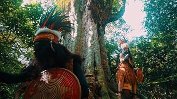 costas aceso mulher com uma escudo posando heroicamente de uma árvore, com lente flare e uma místico floresta ambiente. video