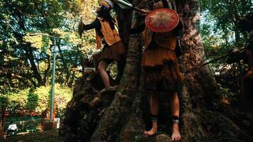 indígena pessoas realizando uma ritual dança por aí uma ampla árvore dentro uma floresta contexto. video