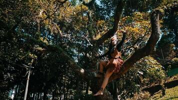 Person in tribal attire posing on a tree in a lush forest setting. video