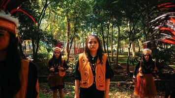 grupo de niños en explorar uniformes jugando en un iluminado por el sol bosque, con atención en un niña en el primer plano. video