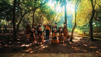 gruppo di persone praticante yoga nel un' sereno parco con lussureggiante verde alberi e luce del sole filtraggio attraverso il fogliame. video