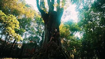 persona sentado debajo un gigante árbol con luz de sol filtración mediante el hojas, transporte un sentido de tranquilidad y conexión con naturaleza. video