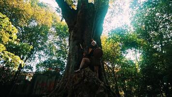 Person sitting on a large tree root in a lush forest, surrounded by greenery and sunlight filtering through the leaves. video