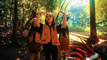 Group of people in a forest with sunlight filtering through the trees, evoking a sense of adventure and exploration. video