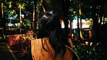 arrière vue de une la personne en marchant dans une luxuriant tropical jardin à nuit, illuminé par ambiant lumières. video
