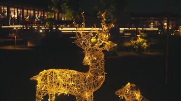 Illuminated reindeer Christmas lights decoration video